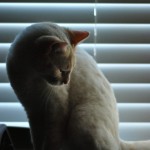 Shadows and Source Location