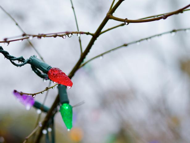 Liteharbor Lighting Tips - Christmas Lighting Waterproof Lights