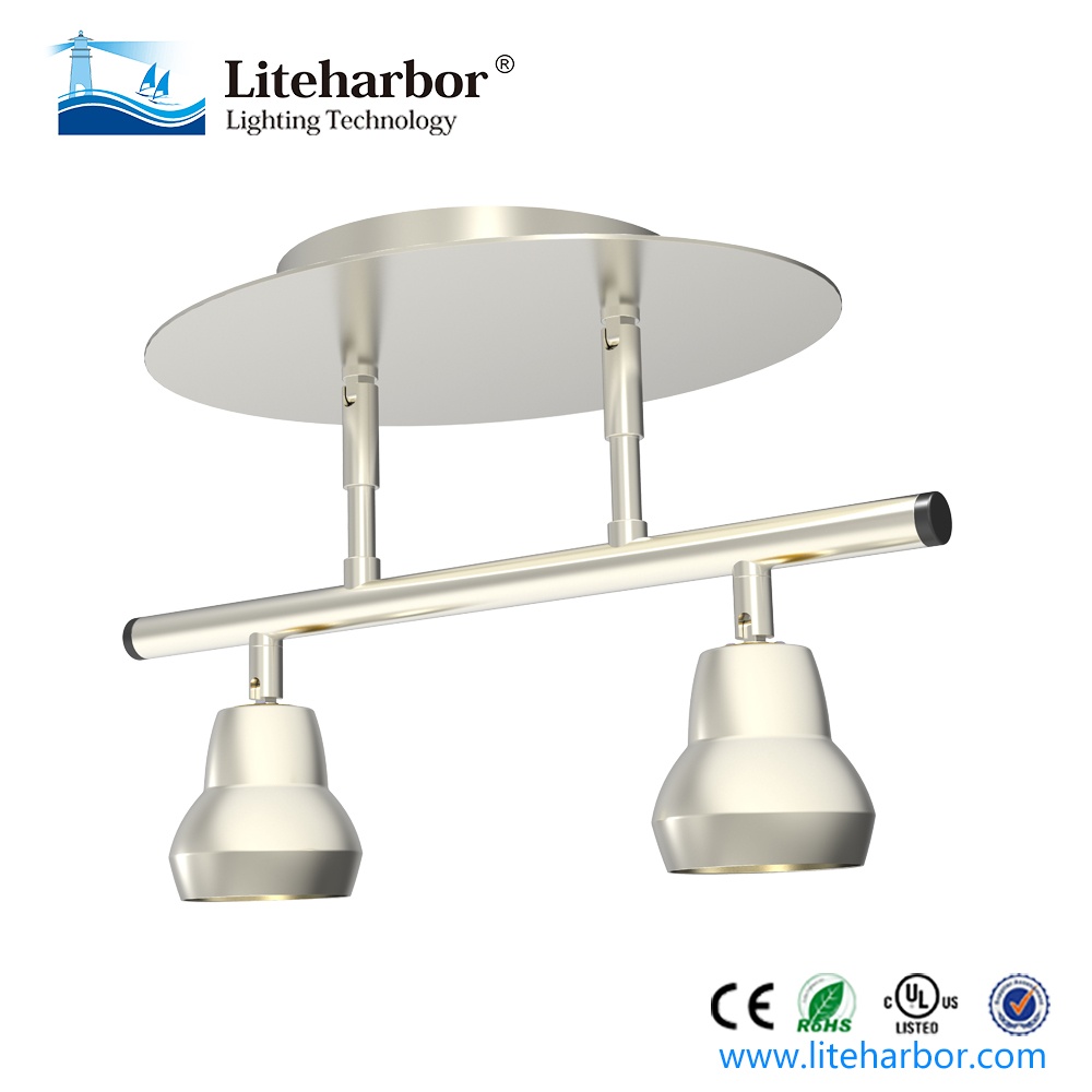 Canopy Mounted track lighting
