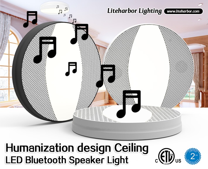 LED Bluetooth Speaker Light