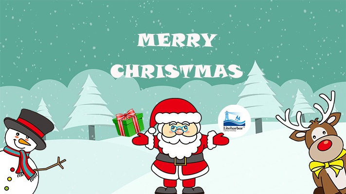 Liteharbor Wish You A Merry Christmas