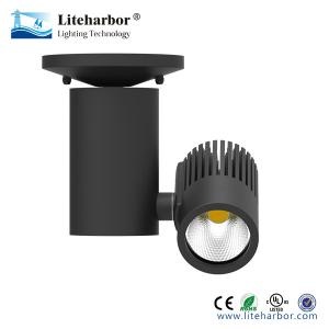 COB Track Light Tracking or Pandent Mounted