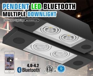 PENDENT LED BLUETOOTH MULTIPLE DOWNLIGHT