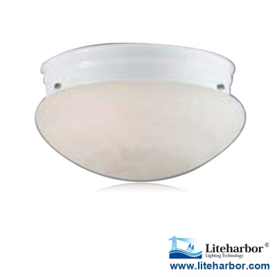 Flush Fitting Ceiling Lights 6 Inch