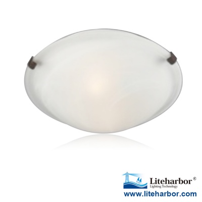 Ceiling Luminaire E26 Socket Warm White