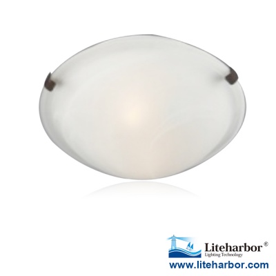 Ceiling Luminaires China Supplier