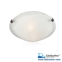 12 Inch Ceiling Mounted Luminaires