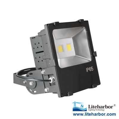 Die Casting Aluminum Scale-Type Heat Sink LED Flood Light 100W