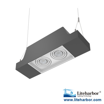 Liteharbor Pendent Mount Twin GU10 LED Multiple Downlight