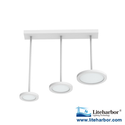 Die Cast Aluminum LED Pendant Ceiling Light