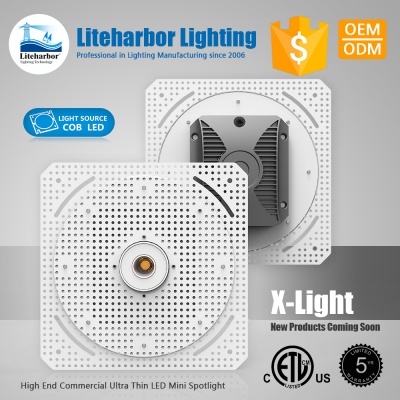 Liteharbor Super Thin Trimless LED Mini Spotlight