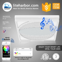 Liteharbor Factory 12 Inch  Square Ceiling Led Wireless Speaker Light