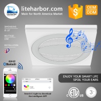 Liteharbor Factory 16 Inch  Square Ceiling Led Wireless Speaker Light