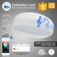 Liteharbor Factory 12 Inch Round Ceiling Led Wireless Speaker Light