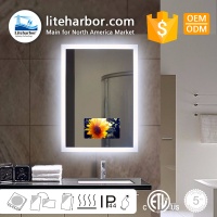 Liteharbor hospitality/Hotel/Salon Customized Size illuminated TV Mirror