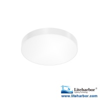 5 Inch Edgeless Round Wall Mounted LED Ceiling Light
