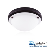 12 Inch Ceiling Surface Mount Lights